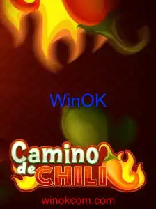 CaminodeChili: O Desafio dos WinOKs